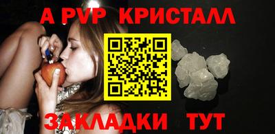 ECSTASY Канаш