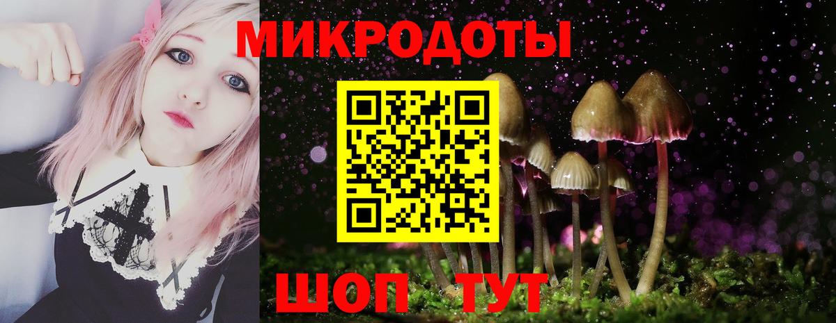 Воронеж  Псилоцибиновые грибы Cubensis  Вход с VPN 